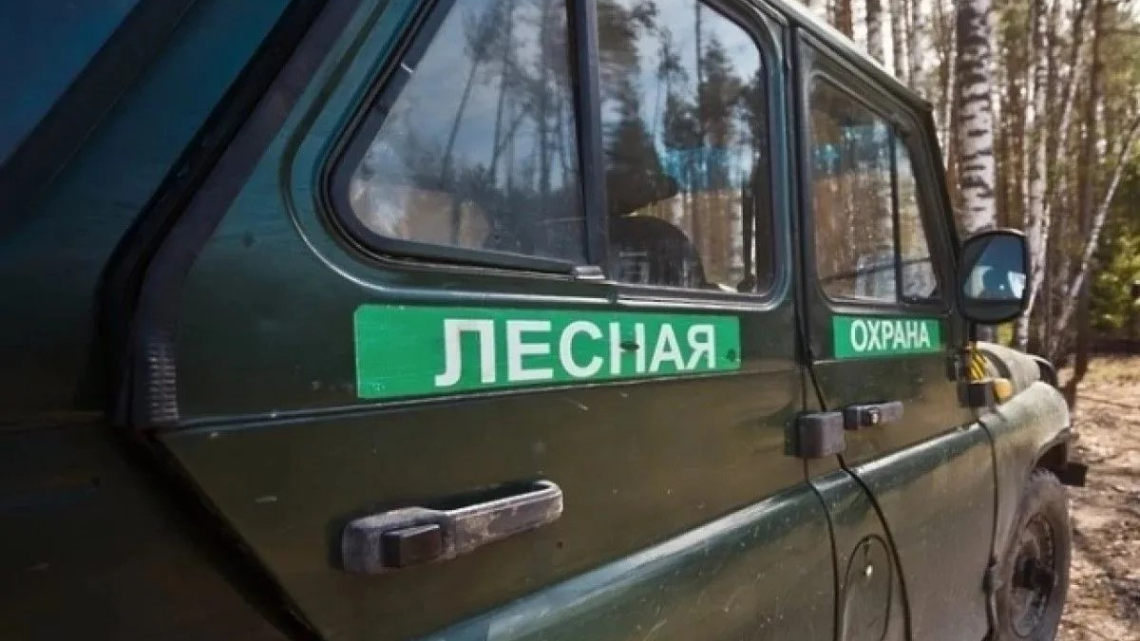 Изображение 204