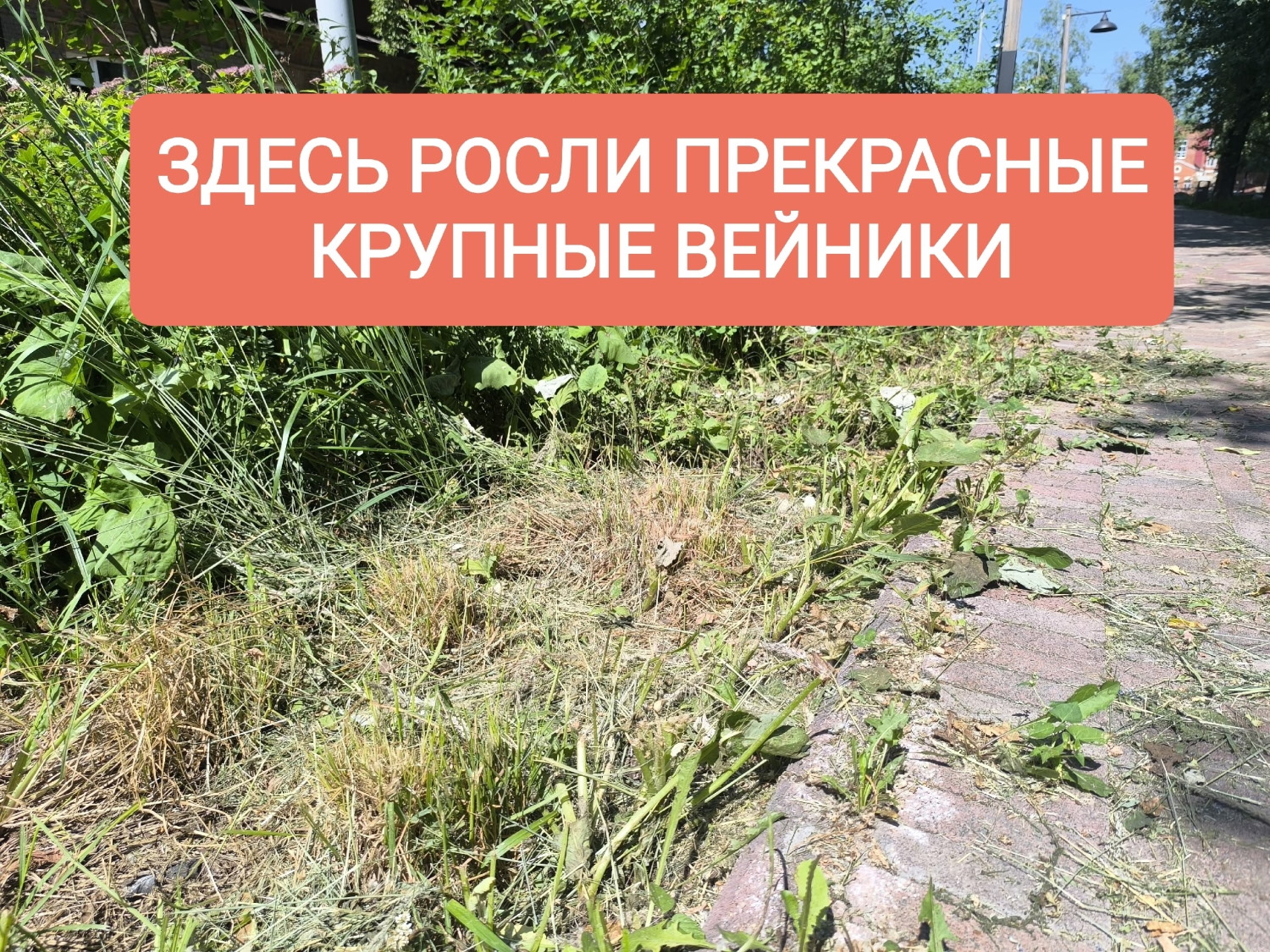 Изображение 386