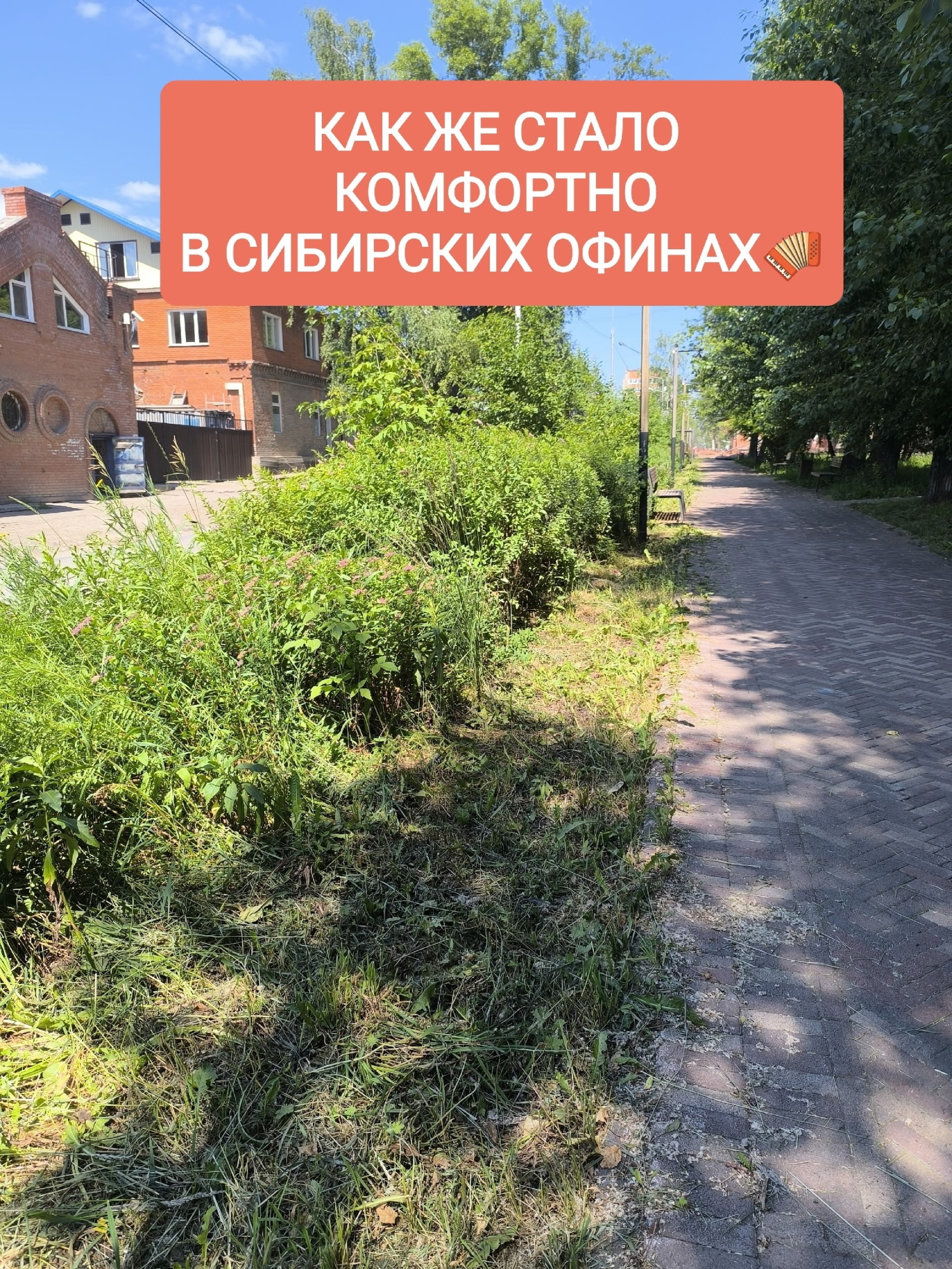 Изображение 385